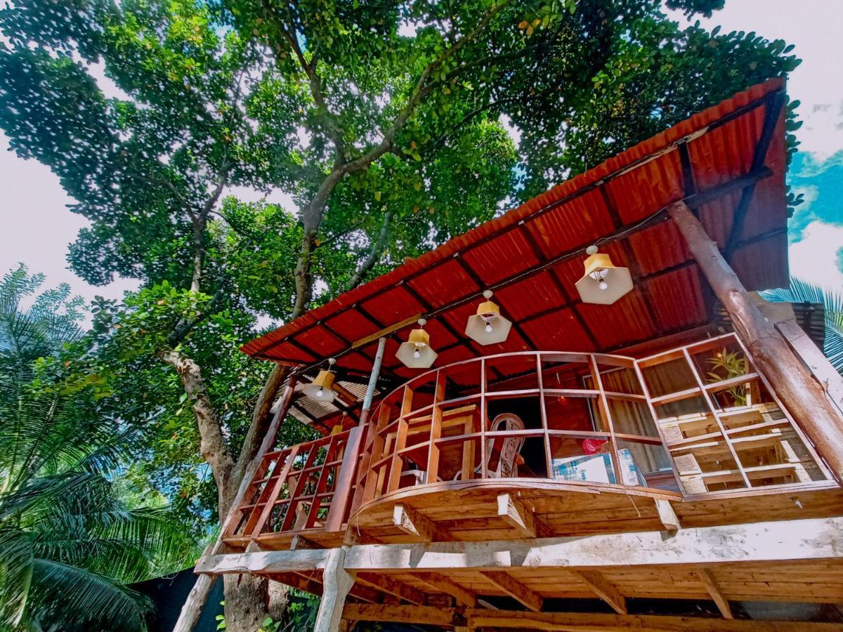 Experience The Comforts Of An Amazing Treehouse Sigiriya Luaran gambar