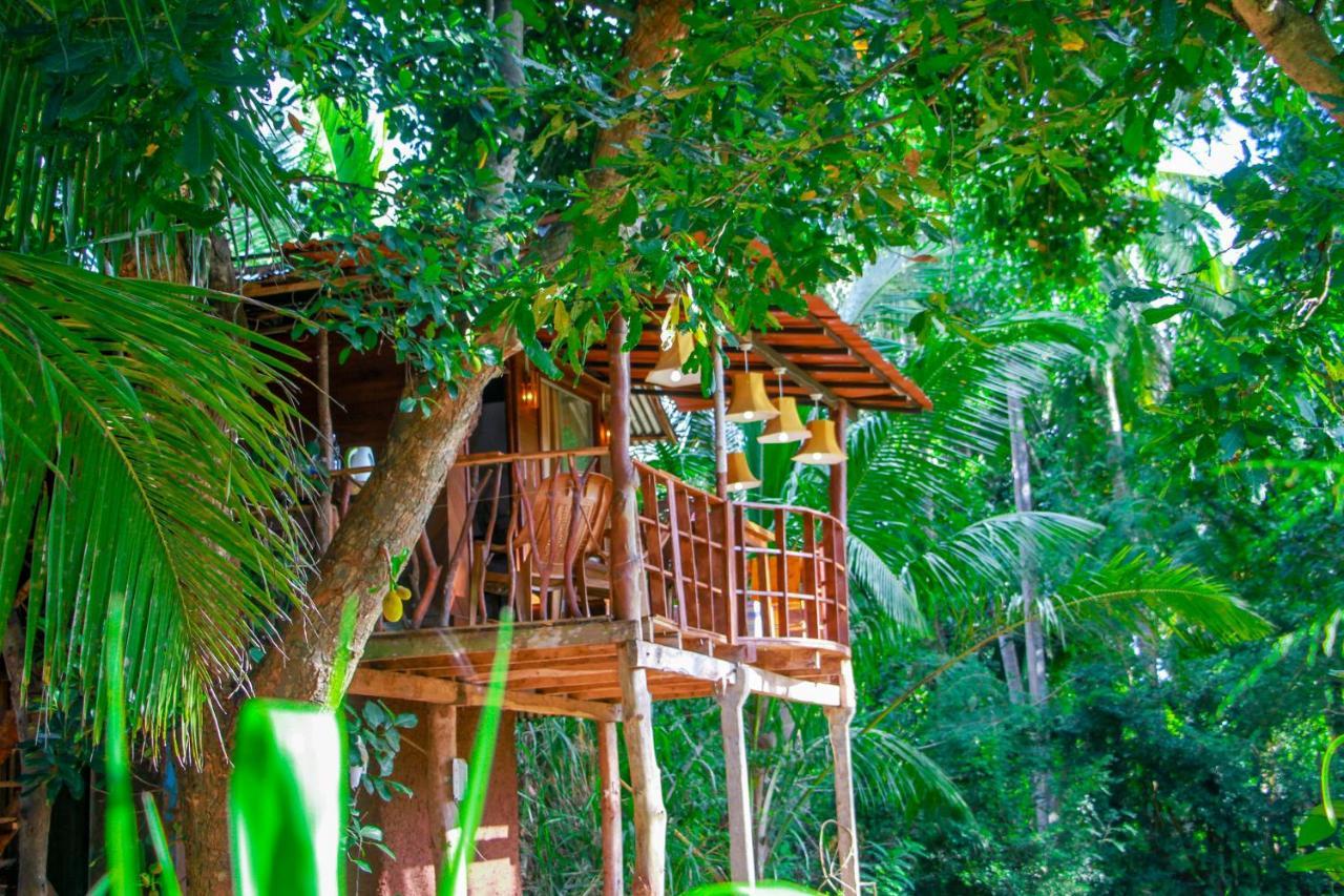 Experience The Comforts Of An Amazing Treehouse Sigiriya Luaran gambar